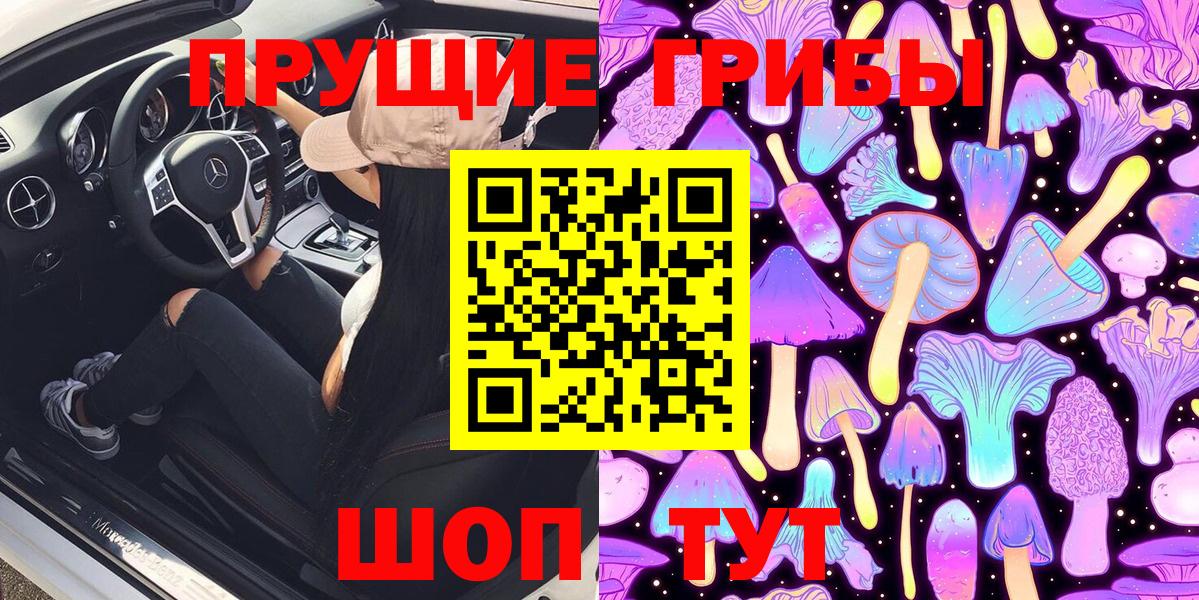 Галлюциногенные грибы Psilocybine cubensis Ивантеевка