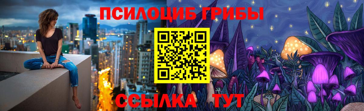 сколько стоит  Вход с VPN  Псилоцибиновые грибы GOLDEN TEACHER  Ивантеевка  Галлюциногенные грибы MAGIC MUSHROOMS 